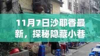探秘沙耶香隐藏小巷的特色小店,秘境之旅(11月7日最新报道)