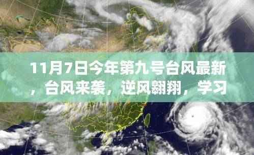 台风来袭，逆风翱翔，学习变化中的自信与成就感之旅最新报道