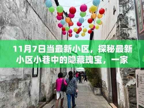探秘最新小区小巷隐藏瑰宝,一家特色小店的独特魅力
