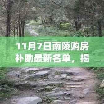 南陵购房补助最新名单揭秘,探索小巷深处的独特小店!