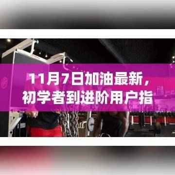 初学者到进阶用户指南，11月7日加油任务与技能提升全面步骤详解