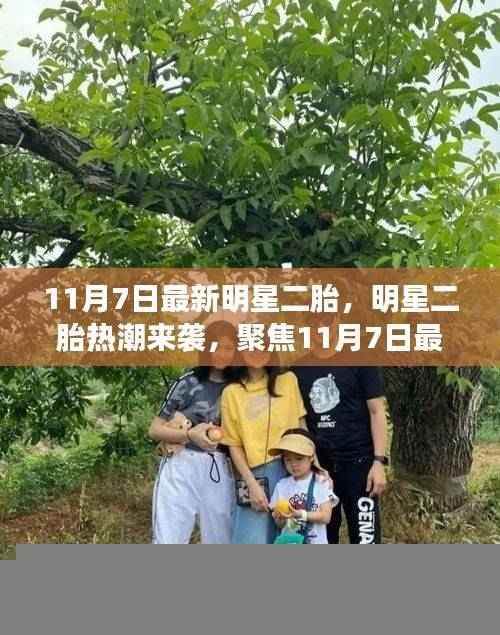 明星二胎热潮持续升温,11月7日最新动态聚焦