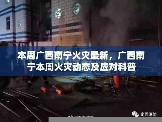广西南宁本周火灾最新动态,火灾科普与应对进展