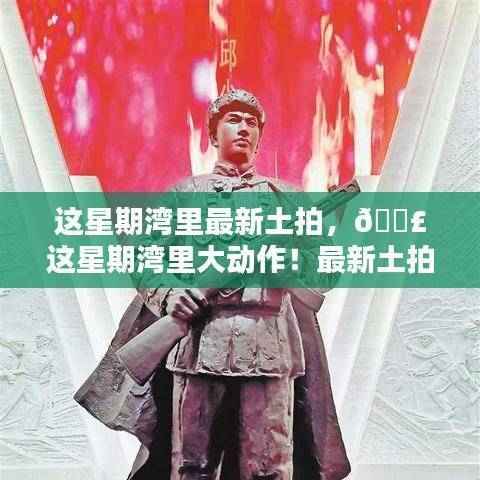 湾里最新土拍火热进行中,本周大动作,了解最新动态!