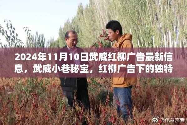 武威红柳广告最新动态,小巷秘宝探秘之旅(2024年11月)