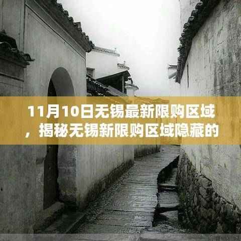 揭秘无锡新限购区域小巷秘境的特色小店风情(最新限购区域介绍)