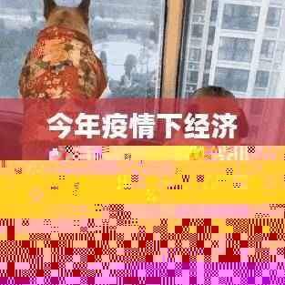 多维度深度评测与介绍，今年疫情下经济的最新动态