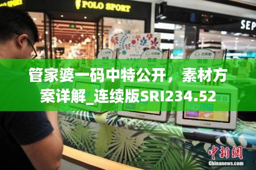 管家婆一码中特公开,素材方案详解_连续版SRI234.52