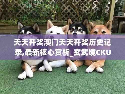 天天开奖澳门天天开奖历史记录,最新核心赏析_玄武境CKU604.97