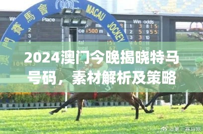 2024澳门今晚揭晓特马号码,素材解析及策略方案详解_LNT639.25