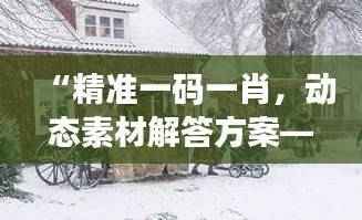 “精准一码一肖,动态素材解答方案——自助版AUX675.92”