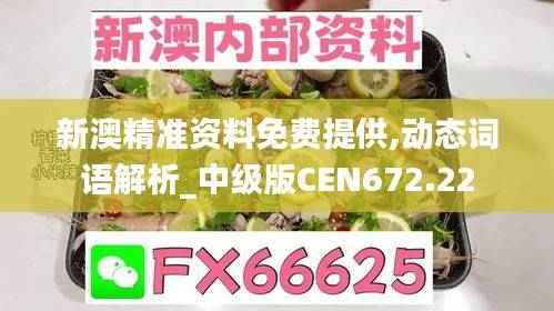 新澳精准资料免费提供,动态词语解析_中级版CEN672.22