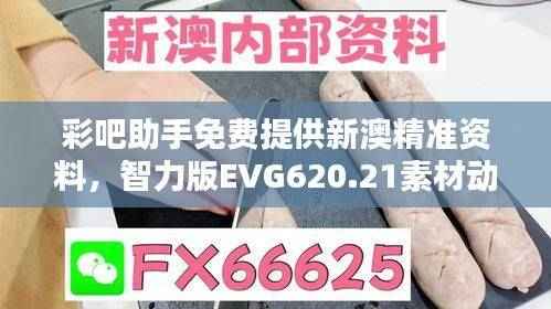 彩吧助手免费提供新澳精准资料,智力版EVG620.21素材动态方案解答