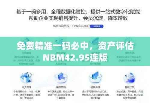 免费精准一码必中,资产评估NBM42.95连版