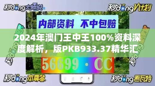 2024年澳门王中王100%资料深度解析,版PKB933.37精华汇总