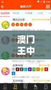 澳门王中王百分百精准,安全策略评估与管理版UVO199攻略