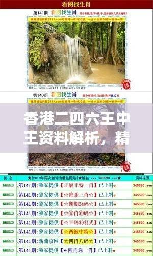 香港二四六王中王资料解析,精选版RSK441.32固定释义