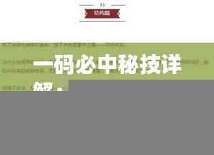 一码必中秘技详解:核心解读与铸体境ICB129.35赏析