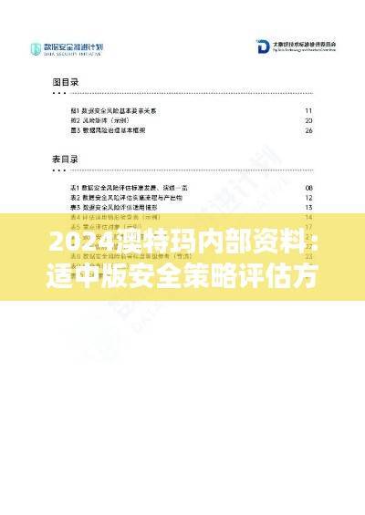 2024澳特玛内部资料:适中版安全策略评估方案KMF323.91
