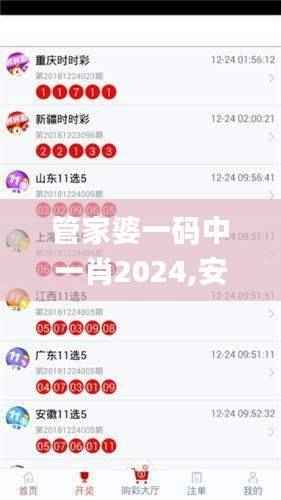 管家婆一码中一肖2024,安全设计策略解析_公开版465.61