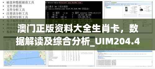 澳门正版资料大全生肖卡，数据解读及综合分析_UIM204.46领航版