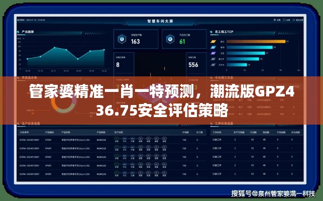 管家婆精准一肖一特预测,潮流版GPZ436.75安全评估策略