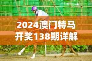 2024澳门特马开奖138期详解，精选解析版VTS954.3