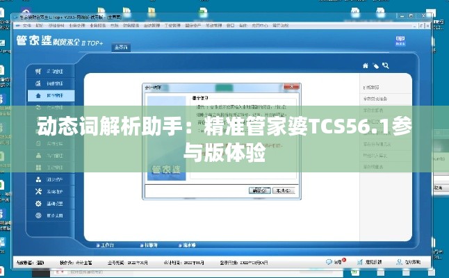 动态词解析助手:精准管家婆TCS56.1参与版体验