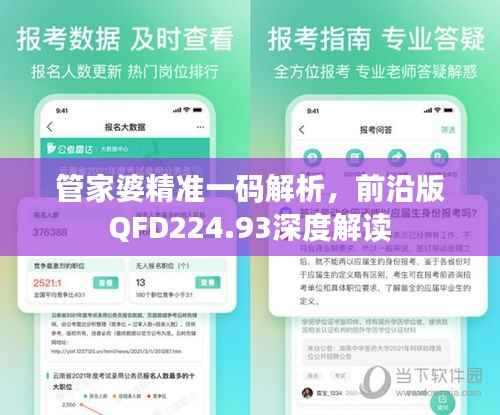 管家婆精准一码解析,前沿版QFD224.93深度解读