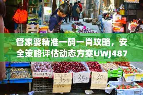 管家婆精准一码一肖攻略,安全策略评估动态方案UWJ487.85
