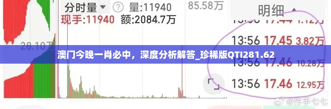 澳门今晚一肖必中,深度分析解答_珍稀版QTI281.62