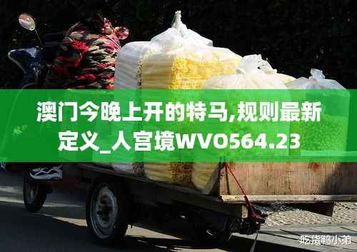 澳门今晚上开的特马,规则最新定义_人宫境WVO564.23