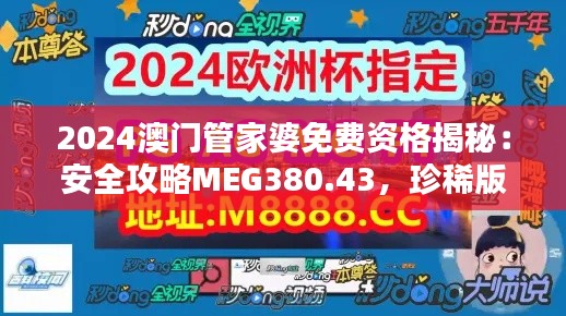 2024澳门管家婆免费资格揭秘:安全攻略MEG380.43,珍稀版来袭