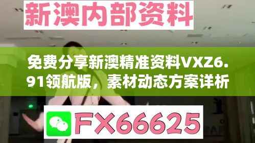 免费分享新澳精准资料VXZ6.91领航版,素材动态方案详析