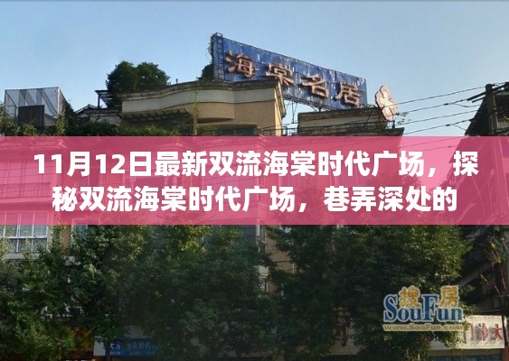 探秘双流海棠时代广场,巷弄深处的独特小店揭秘之旅(最新报道)