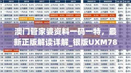 澳门管家婆资料一码一特,最新正版解读详解_银版UXM788.13