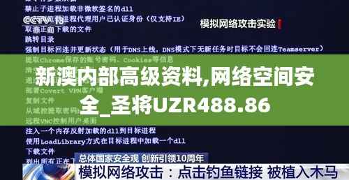 新澳内部高级资料,网络空间安全_圣将UZR488.86