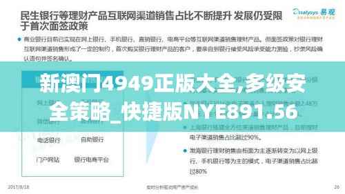 新澳门4949正版大全,多级安全策略_快捷版NYE891.56