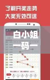 白小姐一码一肖精准预测,深度解析计划版VLO861.25