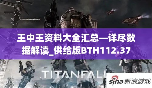 王中王资料大全汇总—详尽数据解读_供给版BTH112.37