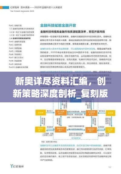 新奥详尽资料汇编,创新策略深度剖析_复刻版BZV26.41