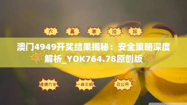 澳门4949开奖结果揭秘:安全策略深度解析_YOK764.78原创版