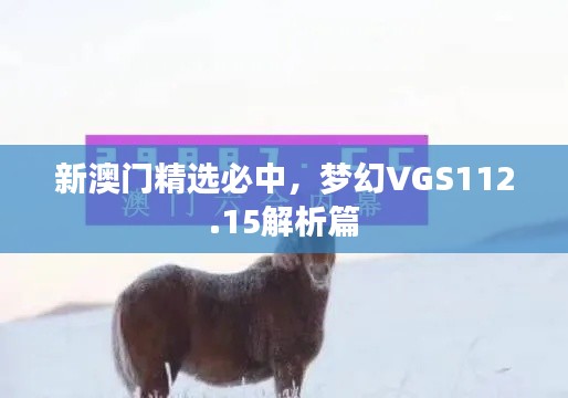 新澳门精选必中,梦幻VGS112.15解析篇