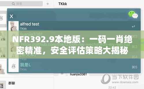 NFR392.9本地版:一码一肖绝密精准,安全评估策略大揭秘