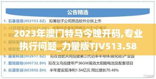 2023年澳门特马今晚开码,专业执行问题_力量版TJV513.58