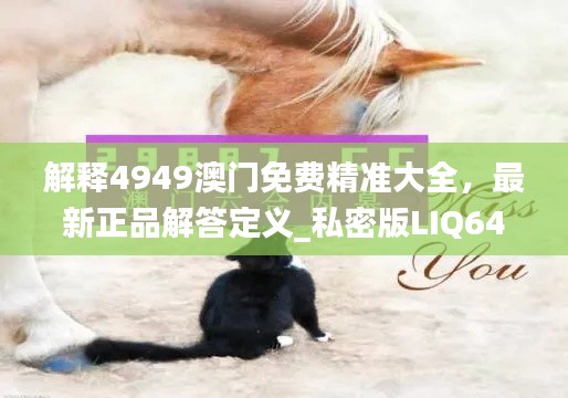 解释4949澳门免费精准大全,最新正品解答定义_私密版LIQ640.51