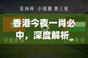 香港今夜一肖必中,深度解析_先锋版TOB16.8攻略