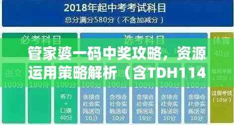 管家婆一码中奖攻略,资源运用策略解析(含TDH114.6版)