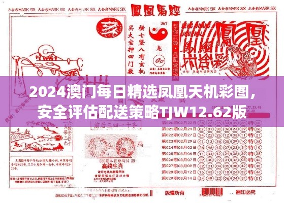 2024澳门每日精选凤凰天机彩图,安全评估配送策略TJW12.62版