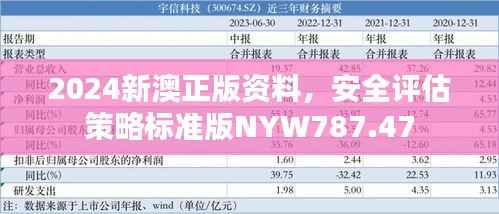 2024新澳正版资料,安全评估策略标准版NYW787.47